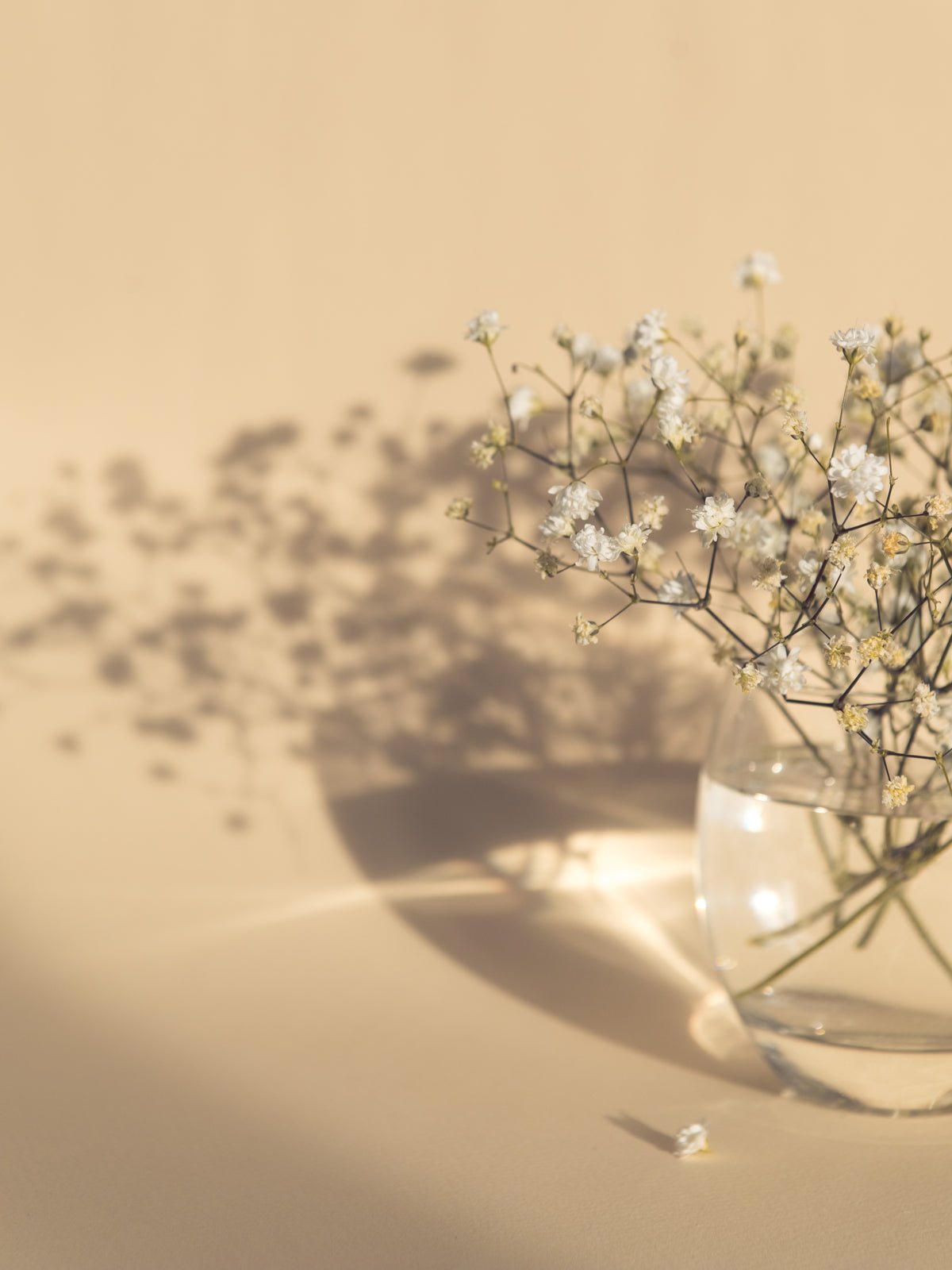 Poster Blumenglas aus hochwertigem Papier