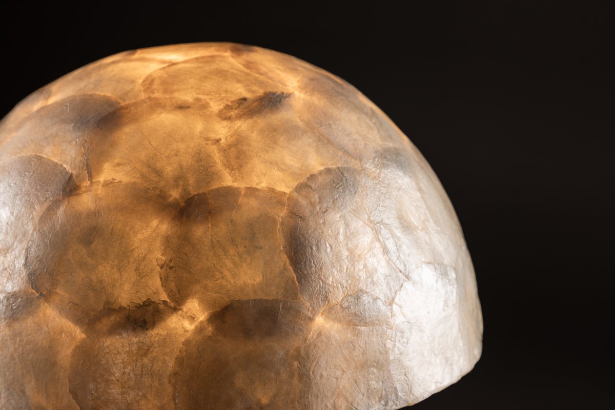 Tischlampe „Aurora“ – Elegantes Design aus Capiz mit sanftem Lichtschein
