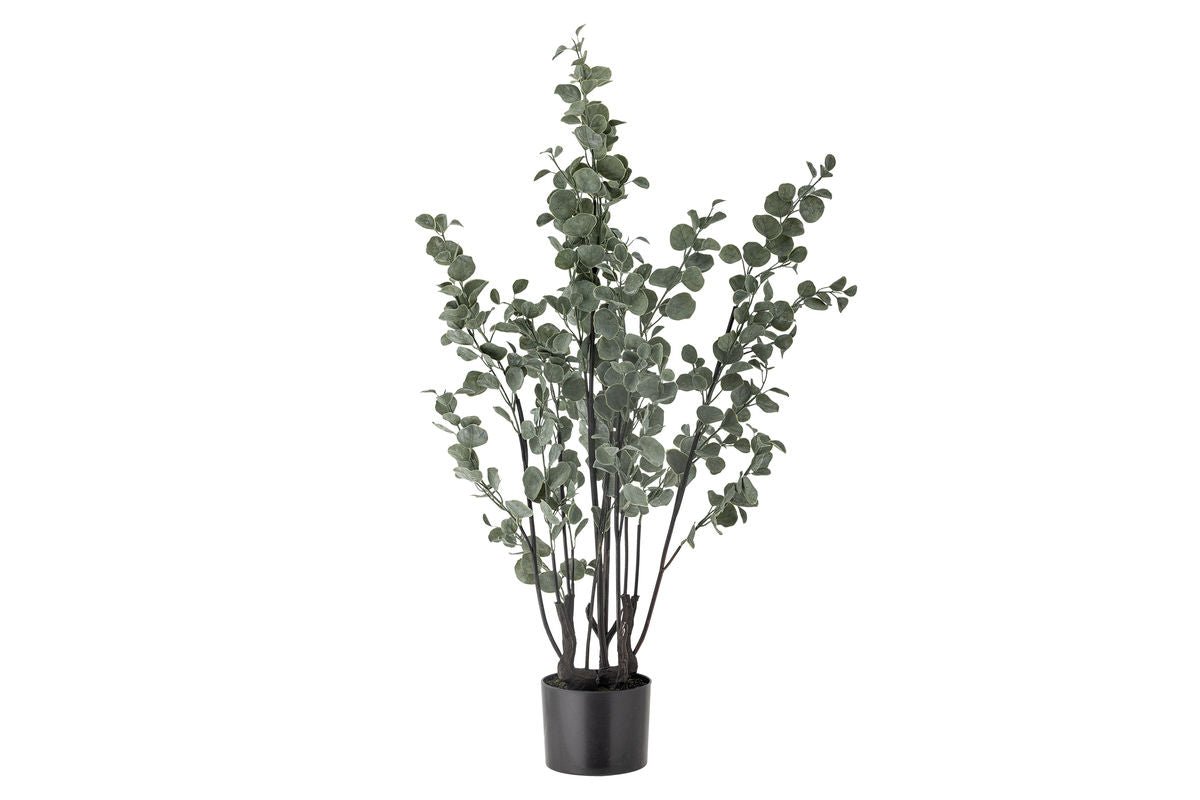 Kunstpflanze Eukalyptus Cali – Höhe 117 cm