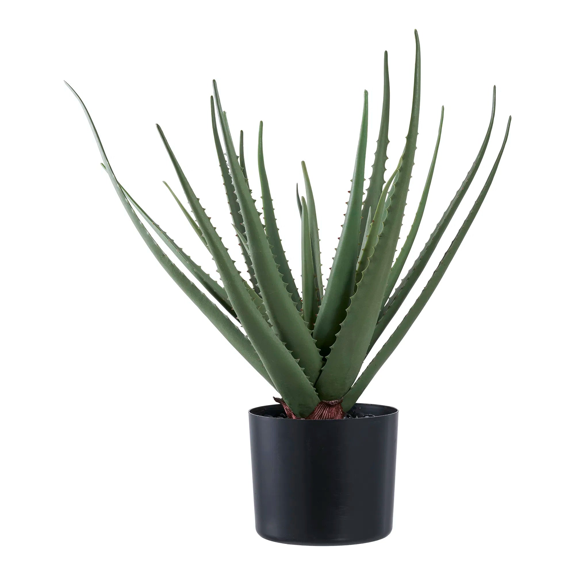 Kunstpflanze Aloe Vera – 51 cm pflegeleichter Klassiker im modernen Look