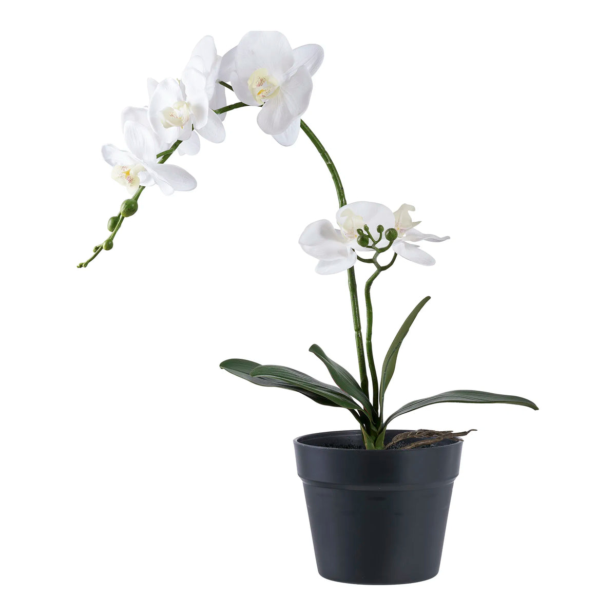 Kunstpflanze Orchidee – 49 cm elegante Blütenpracht für stilvolle Räume