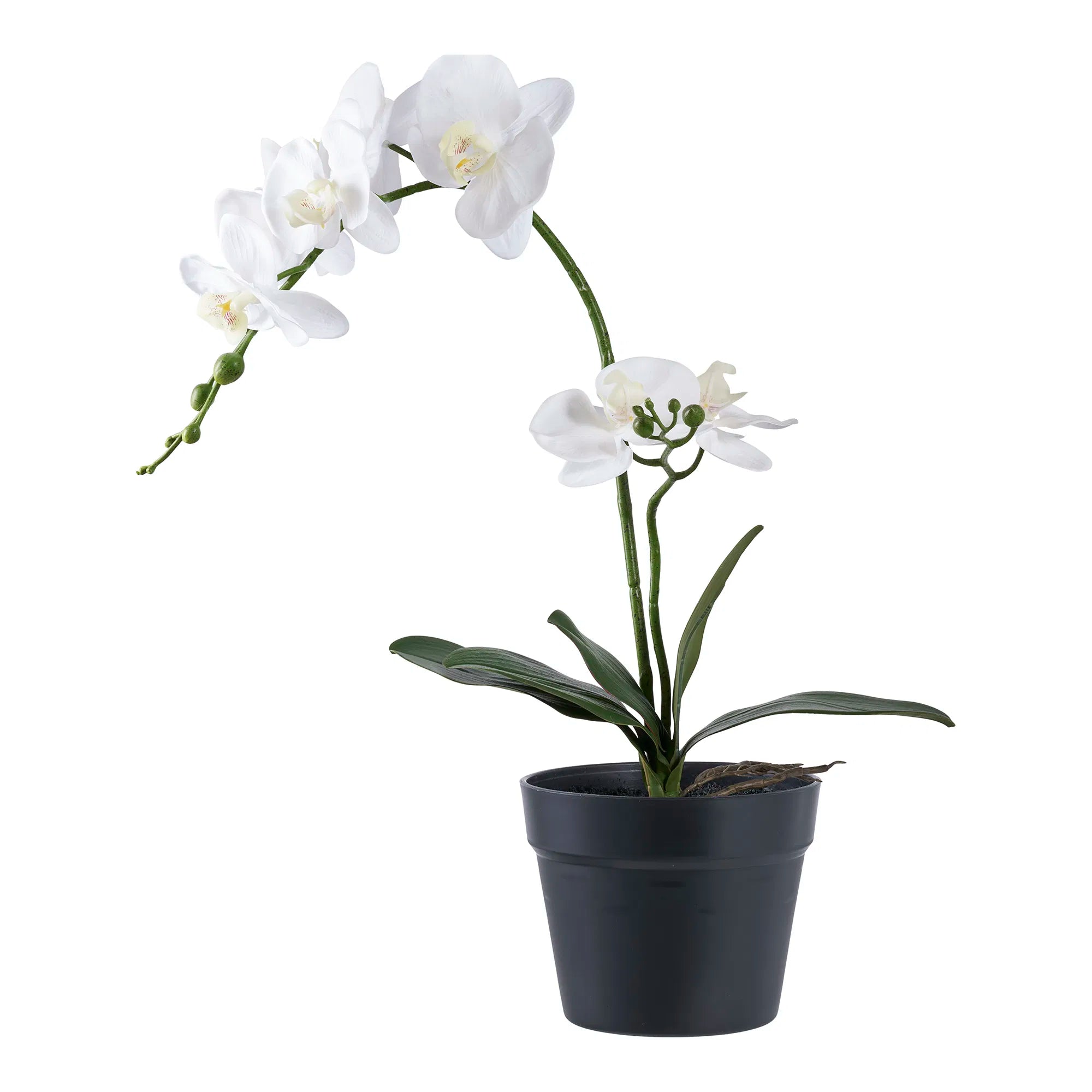 Kunstpflanze Orchidee – 49 cm elegante Blütenpracht für stilvolle Räume