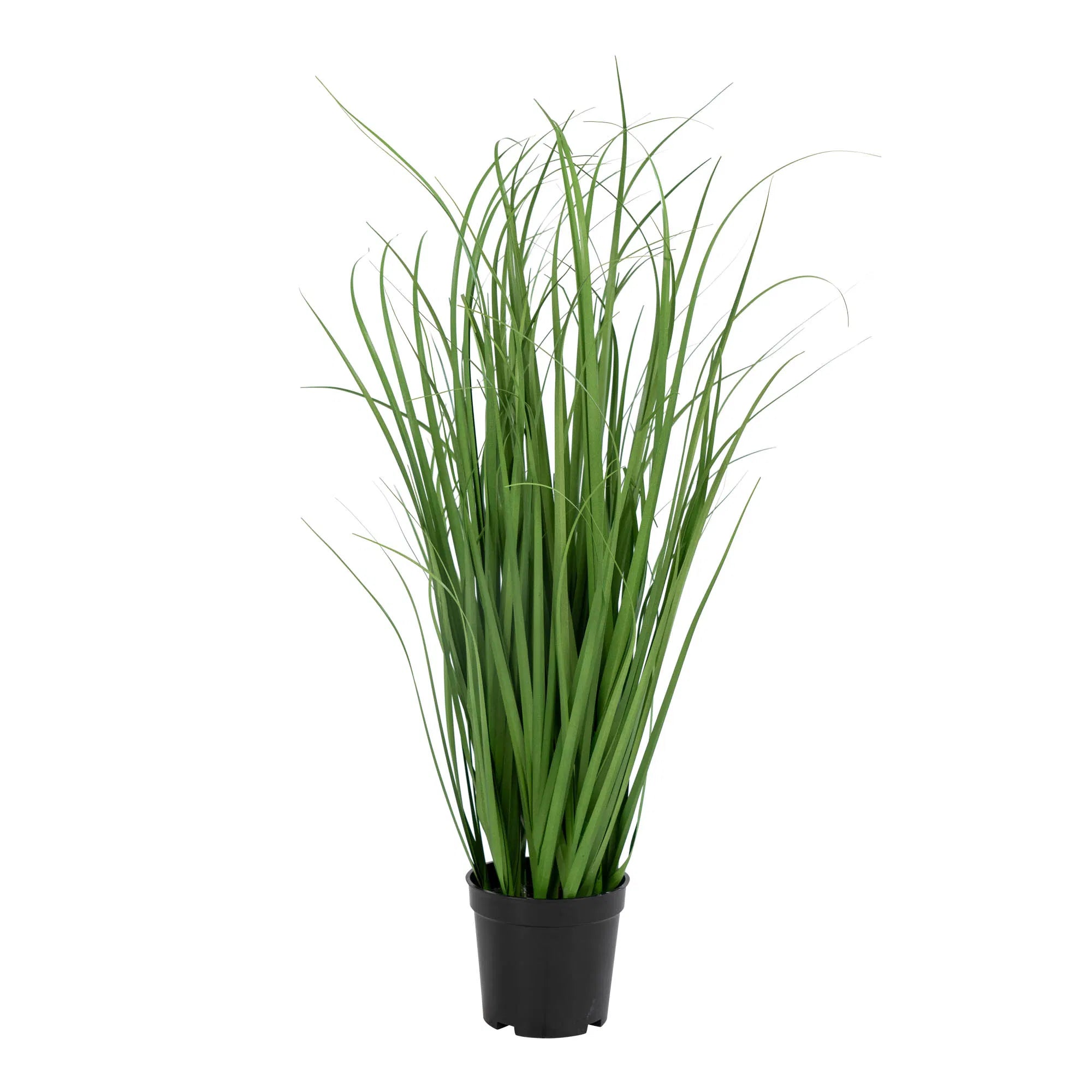 Kunstpflanze Poa Gras – 68 cm luftiger Look für moderne Räume