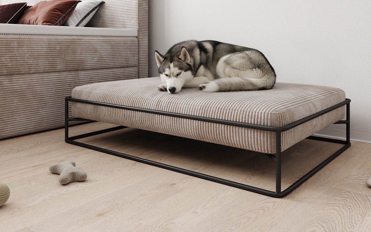 Hundebett Lumo 80 × 100 cm in Cord