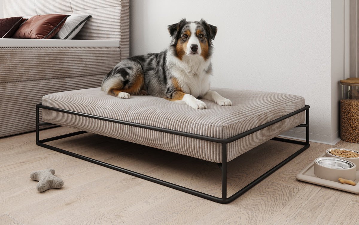 Hundebett Lumo 110x80 cm in Cord