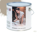 Designer Wandfarbe Aunela - Grau