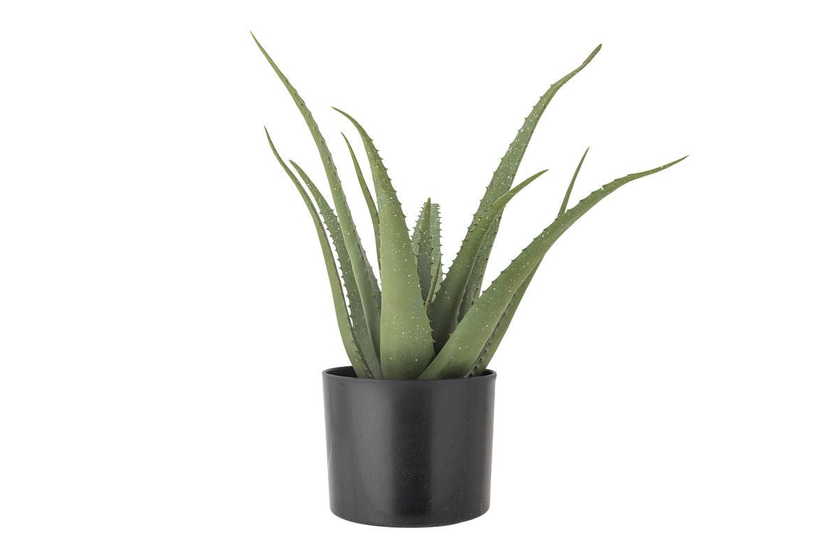 Kunstpflanze Aloeve - Höhe 61 cm