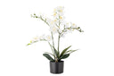 Kunstpflanze White Nola - 84 cm