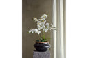Kunstpflanze White Nola - 84 cm