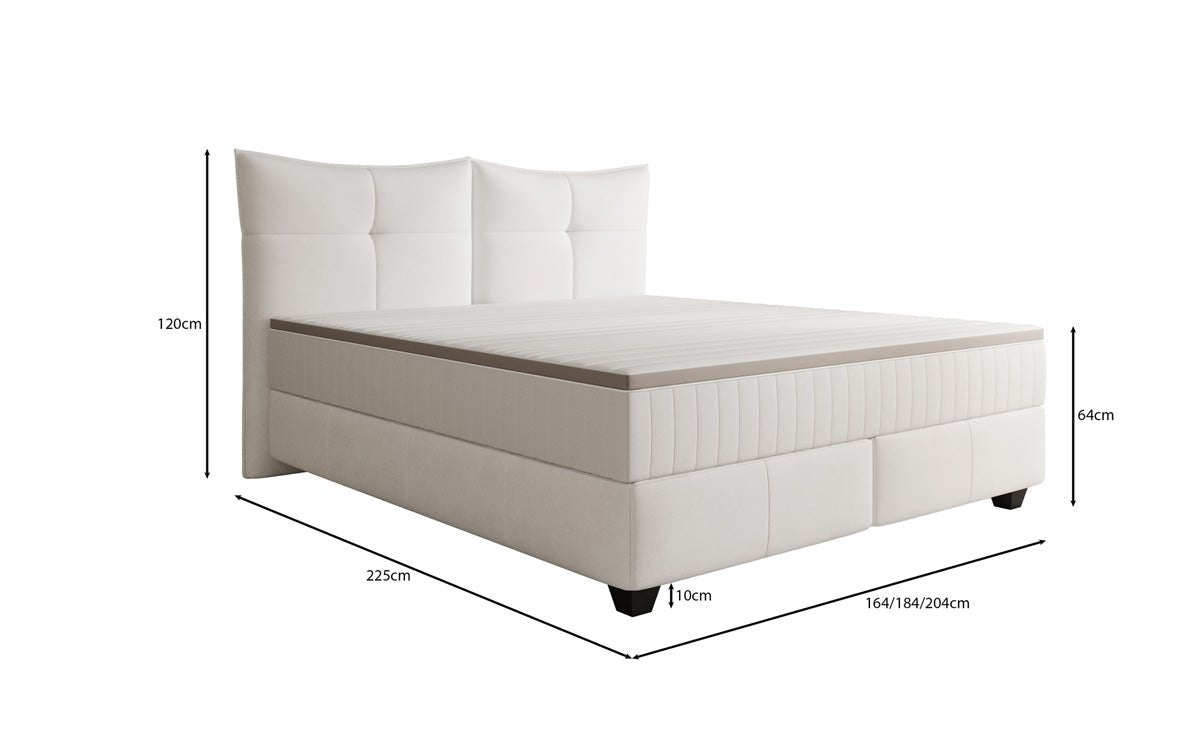 Boxspringbett Veyora in Echtleder